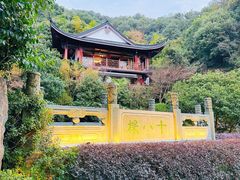 -十八棵（老龙井）御茶园(老龙井店)
