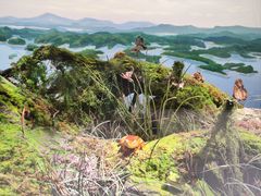 -中国湿地博物馆