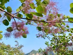 -周口店坡峰岭风景区