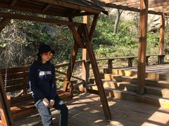 -大岭沟猕猴桃谷风景区