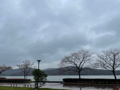 -水上明月·湖景餐厅