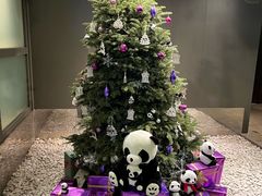 -香港铜锣湾皇悦酒店