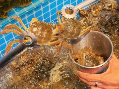 -焰江山海鲜牛排烤肉自助(锦华万达二星店)