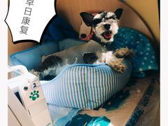 -瑞派宠物医院·24h·骨外科·皮肤科·全科宠物医疗转诊中心(沈阳浑南院)