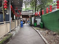-食神又名厕所兔