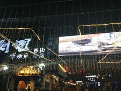-刘姐啤酒鱼民族演艺餐厅(西街总店)