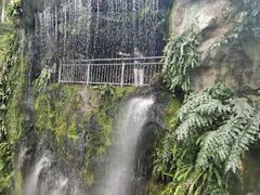-吉隆坡雀鸟公园