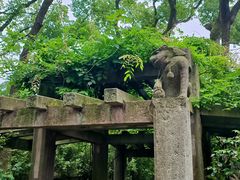 -天一阁博物院