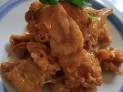 -食家鸽园
