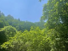 -本溪汤沟绿石谷森林公园