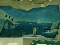 -华夏文旅西安度假区