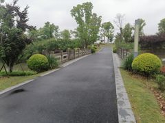 -九科绿洲