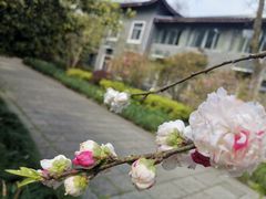 -杭州植物园