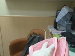 -康成宠物医院24H·CT·核磁共振