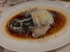 -利苑酒家(金宝店)