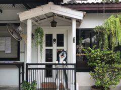 -TrueLove @ Neverland (Husky Cafe)