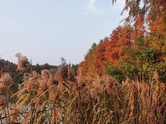 -厦门园林博览苑