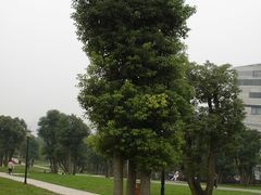 -重庆市江北嘴中央商务区中央公园