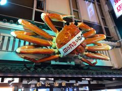 -蟹道乐(道顿堀本店)