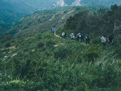 -灵山