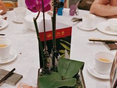 -潮江春(阳光店)
