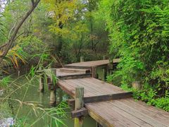 -西溪国家湿地公园