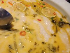 -胡桃里音乐酒馆(石家庄店)