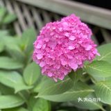 趣味、设计、美味于一体的城市亲子花园。
