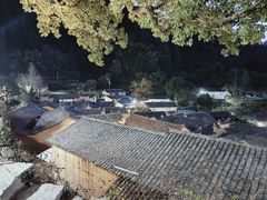 -杨家堂村