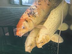 -秦记香辣蟹(松榆里店)