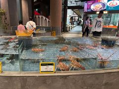 -顺风山庄(水濂山店)