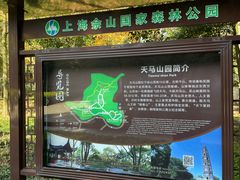 -上海佘山国家森林公园天马山园