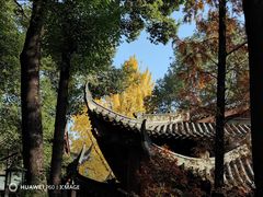 -成都市文殊院