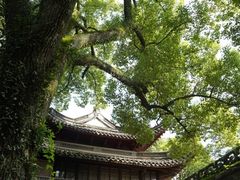 -天一阁博物院