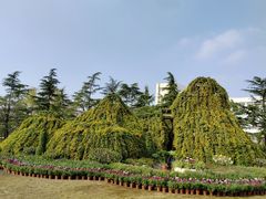 -上海大学(宝山校区)