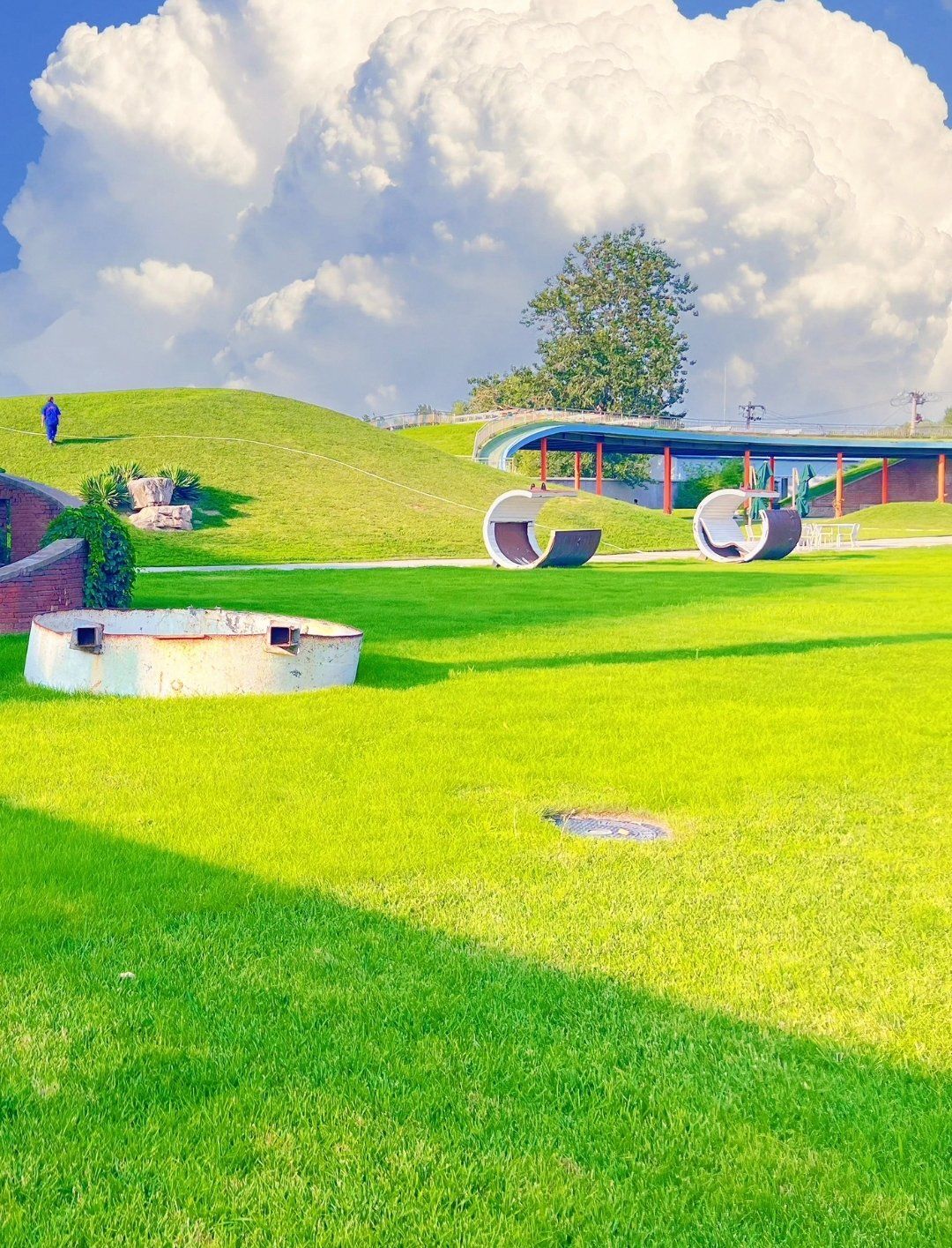 五环内的文艺大草坪