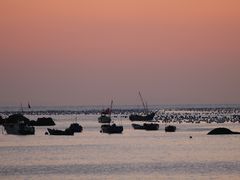 -枸杞岛