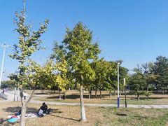 -太阳宫公园