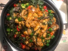 -蛙小侠(亚欧商厦店)