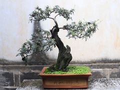 -朱家花园