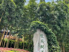 -十八棵（老龙井）御茶园(老龙井店)