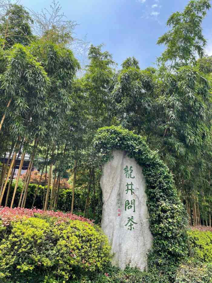 老龙井十八棵御茶园(老龙井店)-"环境确实很好,老龙井是个**宝地呢