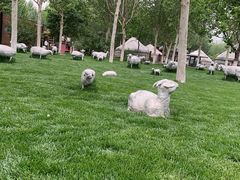 -九十九顶毡房(阜石路店)