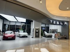 -TESLA 特斯拉(广州天环广场体验店)