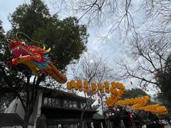 -西溪国家湿地公园