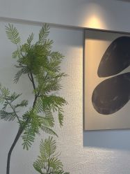 -小梨·OndaPro·专业脱毛连锁机构