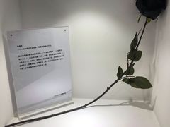 -深圳失恋博物馆再见前任(汇商名苑店)