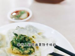 -霍嘟嘟手工水饺(黄山花园店)