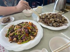 特价辣炒花蛤-颐和海鲜饺子