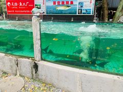 -天怡·鱼工厂(梅溪湖店)